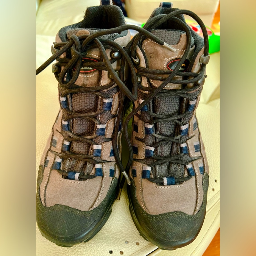 ⛰️LL BEAN Gore-Tex Dark Brown Suede Hiking Shoes Lace Up Boots 8 EUC